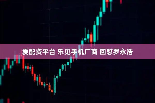 爱配资平台 乐见手机厂商 回怼罗永浩