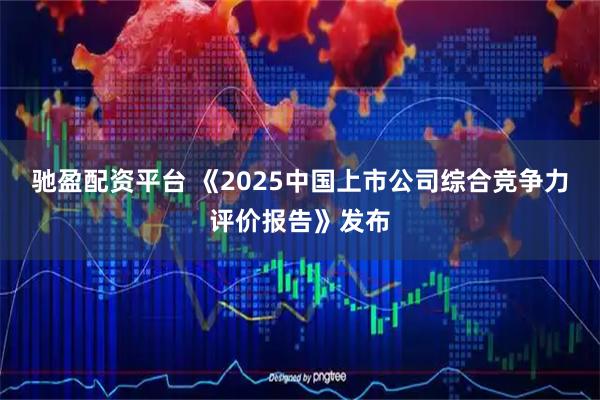 驰盈配资平台 《2025中国上市公司综合竞争力评价报告》发布