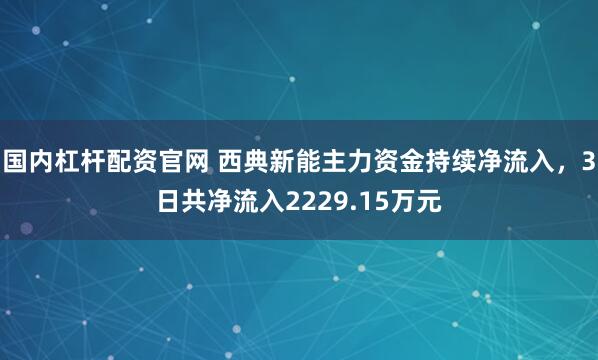 国内杠杆配资官网 西典新能主力资金持续净流入，3日共净流入2229.15万元
