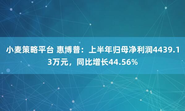 小麦策略平台 惠博普：上半年归母净利润4439.13万元，同比增长44.56%